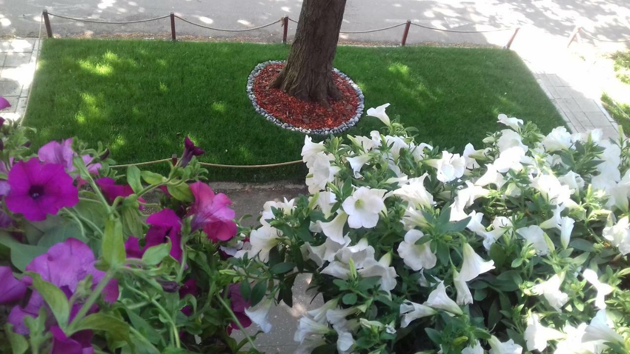 Blue Danube Apartment Βελιγράδι Εξωτερικό φωτογραφία